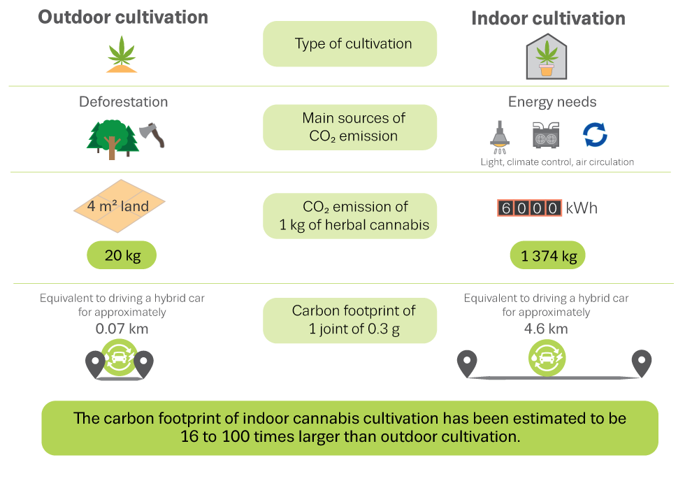 Schematic overview highlighting differences in carbon footprint between indoor and outdoor cannabis production, concluding that while outdoor cultivation involves deforestation, indoor cultivation still has an estimated footprint between 16 and 100 times larger, mostly related to very large energy 