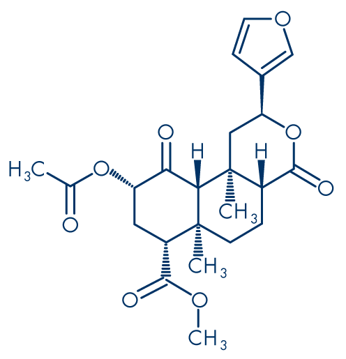 Molecular structure of salvinorum A