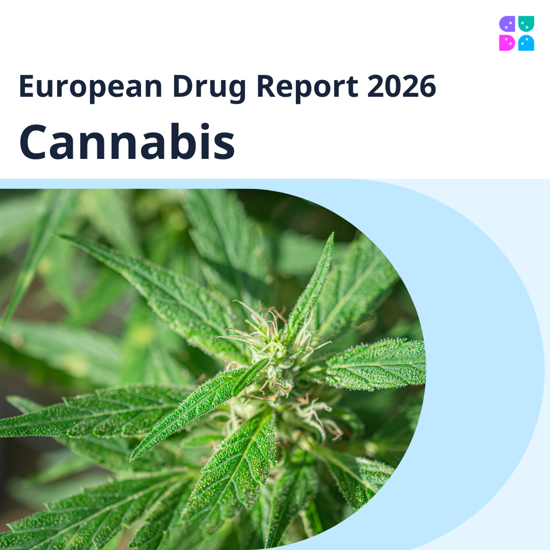 Thumbnail of the European Drug Report 2026: Cannabis