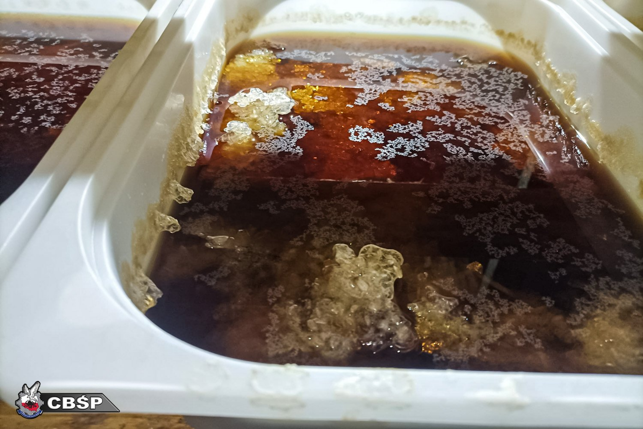 Close-up of plastic trays filled with dark liquid containing clumps and crystallized patches